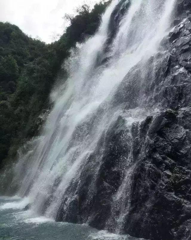 小猫钓鱼游戏龙王版有船